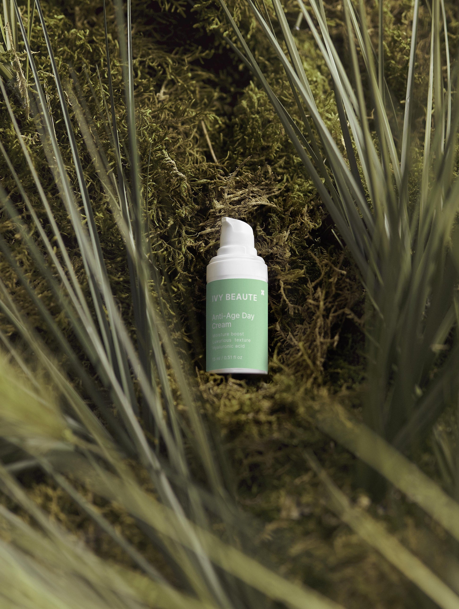 Summer Season Bestsellers Collection Box